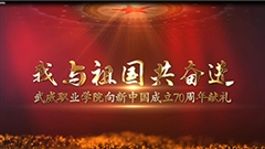 【我与祖国共奋进】迷踪林网站入口向新中国成立70周年献礼